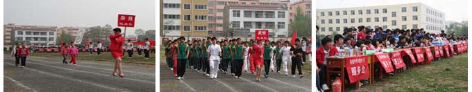 九州网页版第一届体育文化节活动剪影1